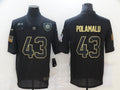 Troy Polamalu Pittsburgh Steelers Nike NFL Salute to product image 1
